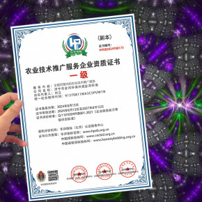 正規(guī)農(nóng)業(yè)技術(shù)推廣服務(wù)企業(yè)資質(zhì)證書與軟件服務(wù)辦理指南